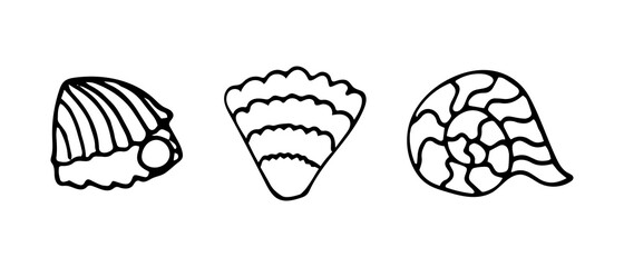 Set of vector illustrations of seashells. Doodle style. Illustrations for printing on textiles, coloring, children's topics. 