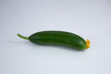 Fresh cucumber with yellow flower on white background.