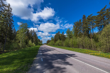 Fototapeta premium Beautiful nature landscape view on summer day. Green trees an asphalt road mergeing with blue sky. Sweden.