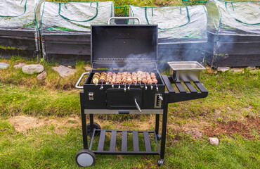 View of barbecue on grill on backyard of private house. Sweden.