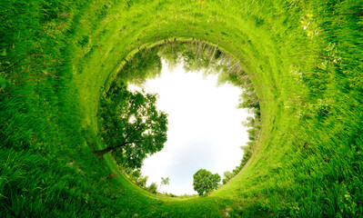 Stereographic panoramic projection of a green field with trees in the summer. 360 degree panorama.