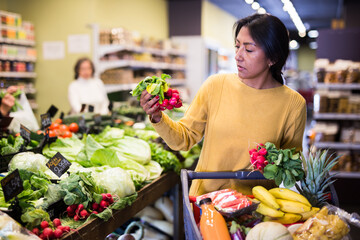 Obraz premium Woman shopper chooses ripe radish at grocery supermarket