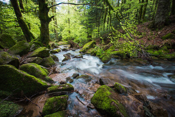 La cascade du Rummel est une chute d'eau du massif des Vosges située sur la commune de Lepuix dans le territoire de Belfort. Très beau site naturel, frais, calme et reposant.