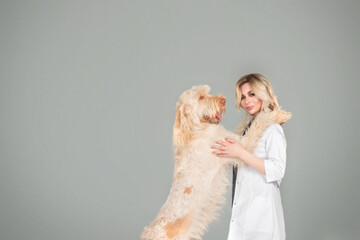 beautiful young woman vet doctor with a dog on a grey brackground