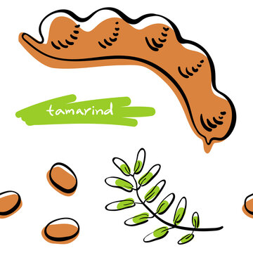 Seamless pattern with tamarind in black line sketchy style isolated on white background. Tropical fruits. Doodle hand drawn vector illustration