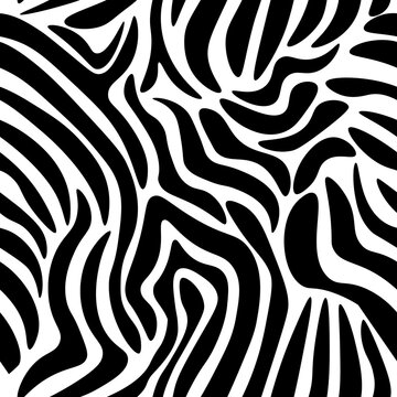 animal print seamless pattern, animal skin zebra vector background black stripes on white