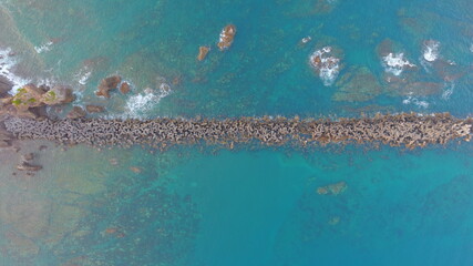 消波ブロック　テトラポッド