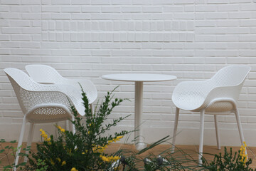 chairs and table in garden