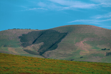low mountain hillside lush with green grass and farmland with bright sunny blue sky