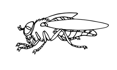Horsefly, parasite insect, carriers of anthrax and other diseases, bloodsucker. Vector illustration with black ink contour lines. Isolated on a white background in a doodle style.