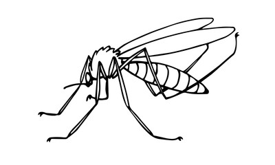 The squeaker mosquito, parasite insect, carriers of malaria and other diseases, bloodsucker. Vector illustration with black ink contour lines. Isolated on a white background in a doodle style.