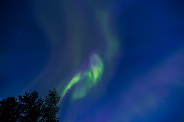 Fototapeta premium Northern lights in Kiruna, Lapland, Northern Sweden