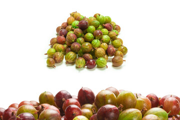 Gooseberry isolated on white background.
