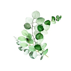 watercolor drawing, bouquet of eucalyptus leaves. flower arrangement of eucalyptus leaves and branches. decoration for wedding, invitations, congratulations. clipart isolated on white background