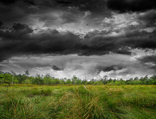 Fototapeta na wymiar Peat bogs - and dramatic dark sky