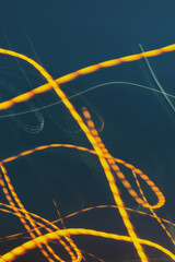 Long-exposed photo of yellow lights on the blue background. Light effects. Neon glow background, vertical image.