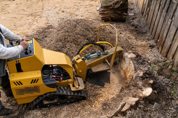 A large wooden stump is milled with a yellow stump cutter or grinder against the background of a...
