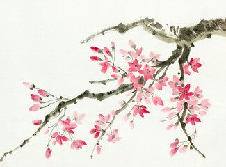 cherry blossom branch - 435880124
