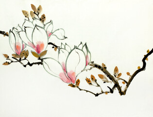 blooming magnolia branch