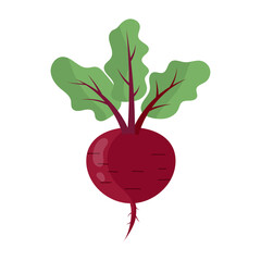 Red beet root with green leaves isolated on white