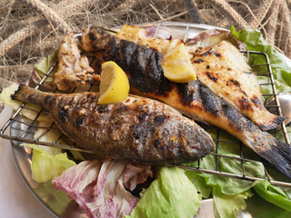 grilled sea bream sea fish dish