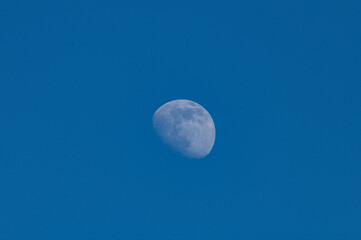 almost full moon in the afternoon against a blue sky 