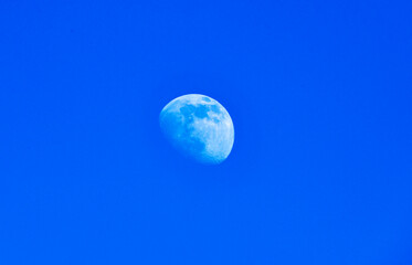 almost full moon in the afternoon against a blue sky 
