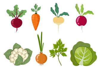 Set of colorful home grown vegetables, isolated 