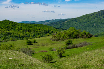 Pasture on the hill