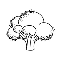 Doodle broccoli. Vegetarian healthy food. Vegan, farm, organic, natural. Vector illustration