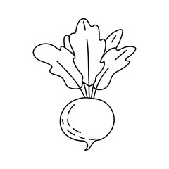 Fototapeta premium Beet outline doodle icon isolated on white background. Vegetarian healthy food. Vector sketch illustration for icon, web, mobile, infographics, logo, print, icon, card, emblem, label, food menu