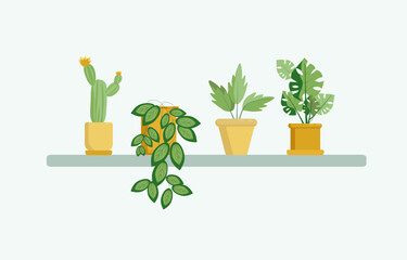 Home flowers in yellow pots on the shelf, Set.Flat illustration, vector. Isolated background.