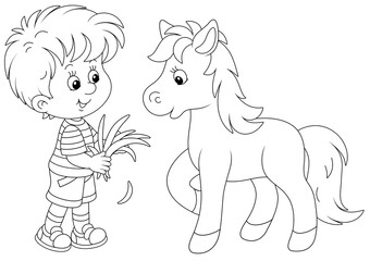 Happy little boy feeding a cute small pony with fresh grass, black and white outline vector cartoon illustration for a coloring book page