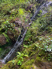 waterfall in the forest