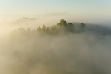 misty morning on the river