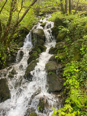 Waterfall Lynton, River Lyn, Devon