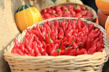 basket of red chilli peppers