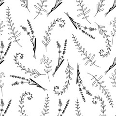 Fototapeta premium Doodle style wild flowers and herbs. Hand drawn elements. Herbal seamless pattern isolated on white background.