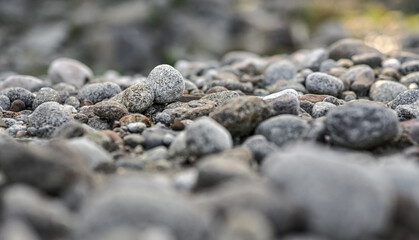 Small round rocks on a river beach Low angle shallow depth of field photo