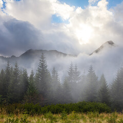 green misty mountain valley in dense clouds at sunny day