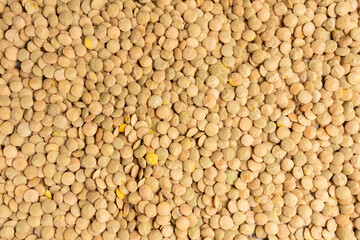 Organic brown lentils for healthy food. background texture