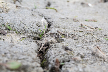 Split ground after rain. Crack in the sandy surface. The surface of the sand