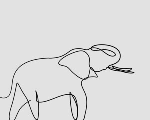Continuous line, Elephant with trunk over head. Drawing of set Animals. (Vector illustration one line drawing)