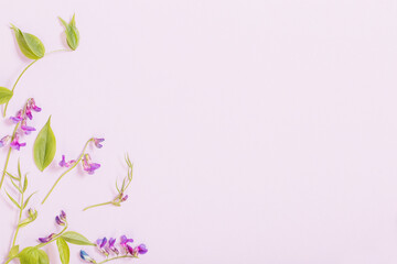 pink wild flowers on pink paper background