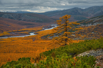 Russia. Far East, Magadan region. Panoramic view of the valley of the Big Kupka River (a tributary of the Kolyma River) from the top of the mountain pass.