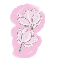 Illustration of wonderful royal victories in shades of pink lovely flowers found in wetlands graceful tropical forests and delicate charming digital painting