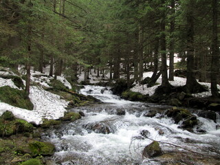 Beautiful mountain stream in winter