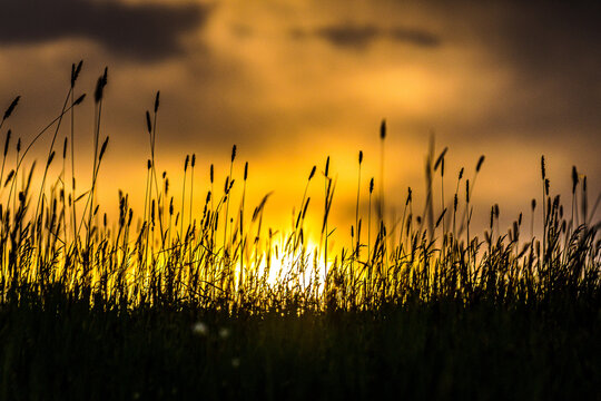 Sundown