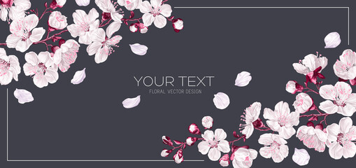 Spring banner with apricot flowers blooming branches. White with pink flowers on dark background, place for text. Banner for social networks, outdoor advertising. Highly realistic flowers, vector