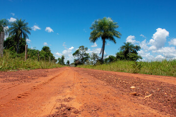 Dirt ground road crossing farm